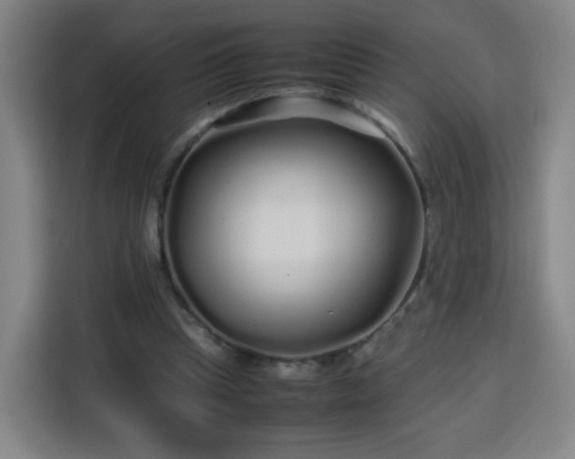 X0000113760345200909301114