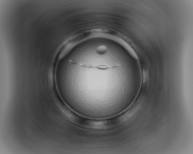 X0000113760349200909301114