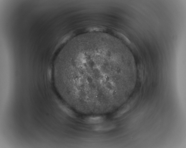 X0000113760357200909301114