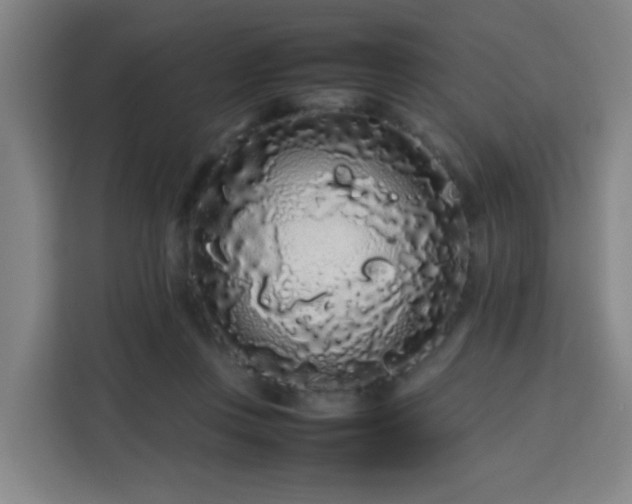 X0000113760359200909301114