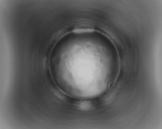 X0000113760361200909301114