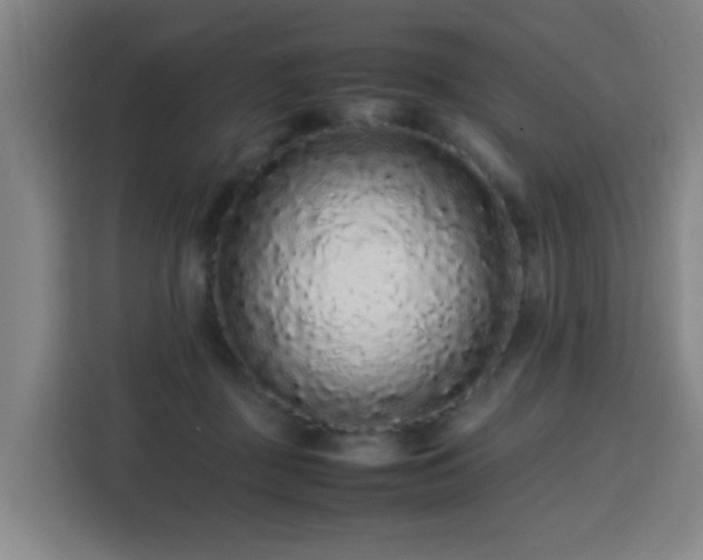X0000113760363200909301114