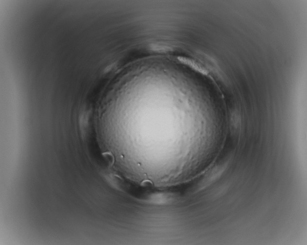 X0000113760364200909301114