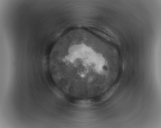 X0000113760366200909301114
