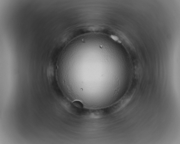 X0000113760368200909301114