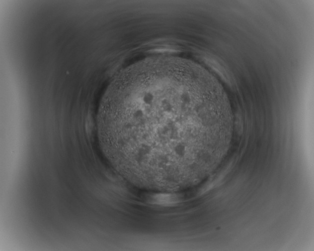 X0000113760371200909301114