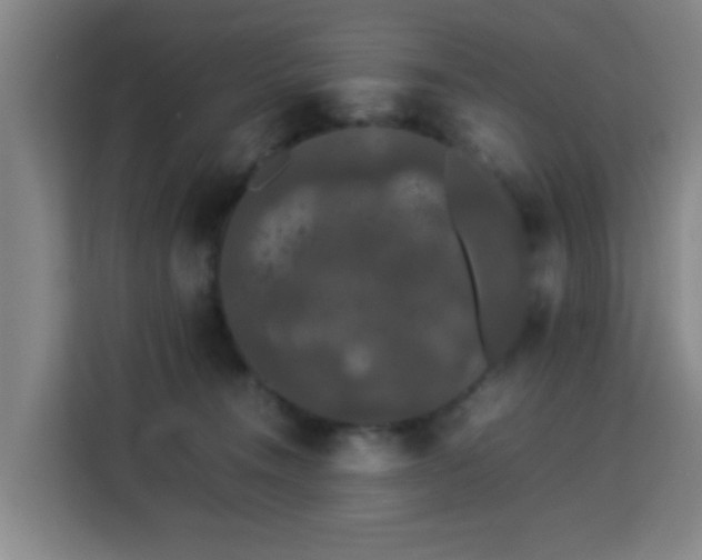 X0000113760372200909301114