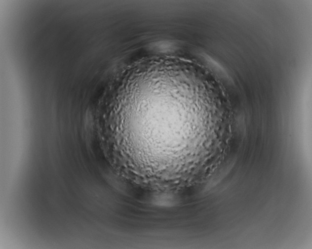 X0000113760373200909301114
