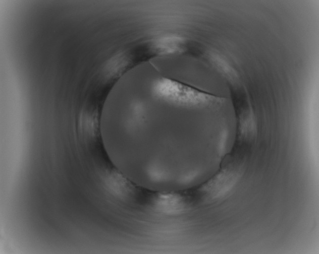 X0000113760376200909301114