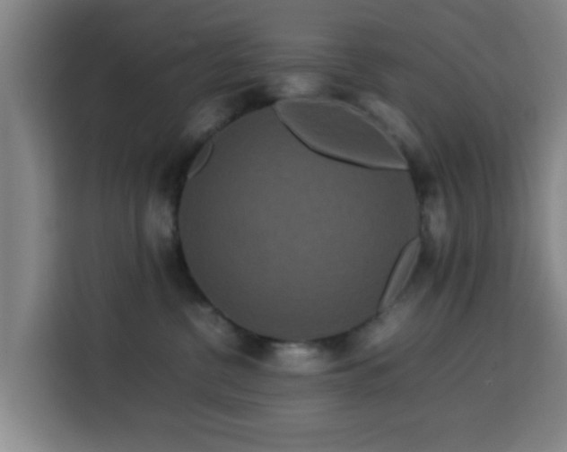 X0000113760380200909301114