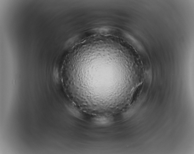 X0000113760381200909301114