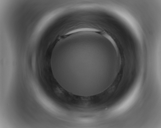 X0000113760382200909301114