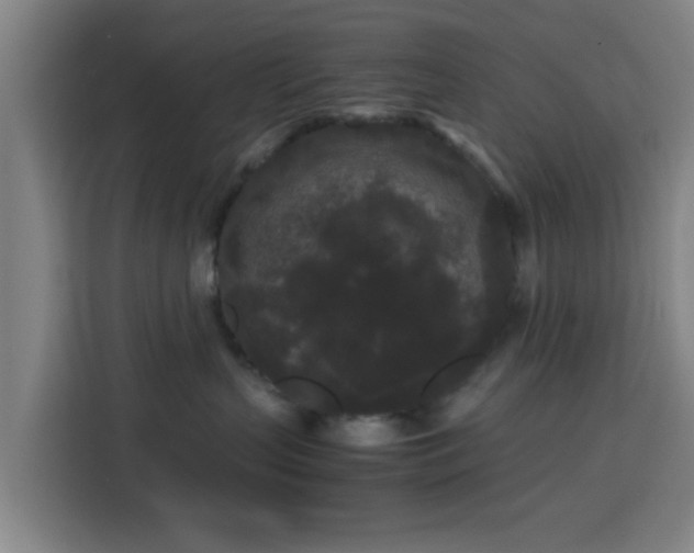 X0000113760383200909301114