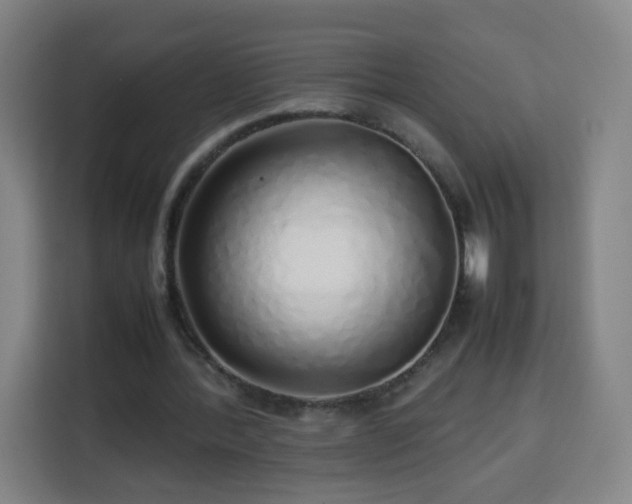 X0000113760388200909301114
