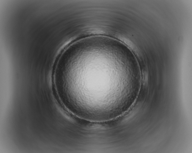X0000113760390200909301113