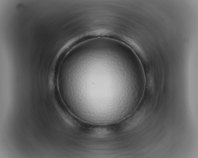 X0000113760392200909301113