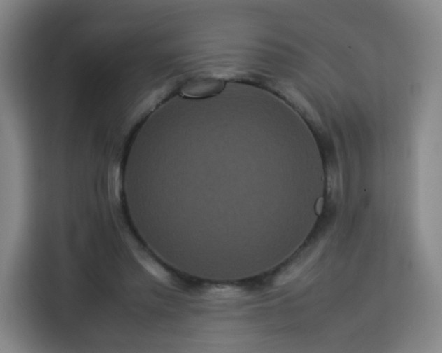X0000113760397200909301113