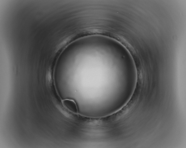 X0000113760398200909301113