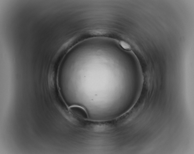 X0000113760400200909301113