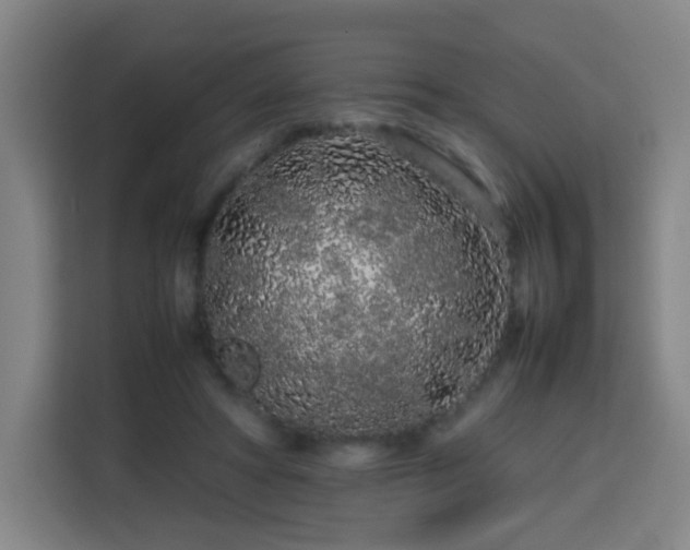 X0000113760402200909301113