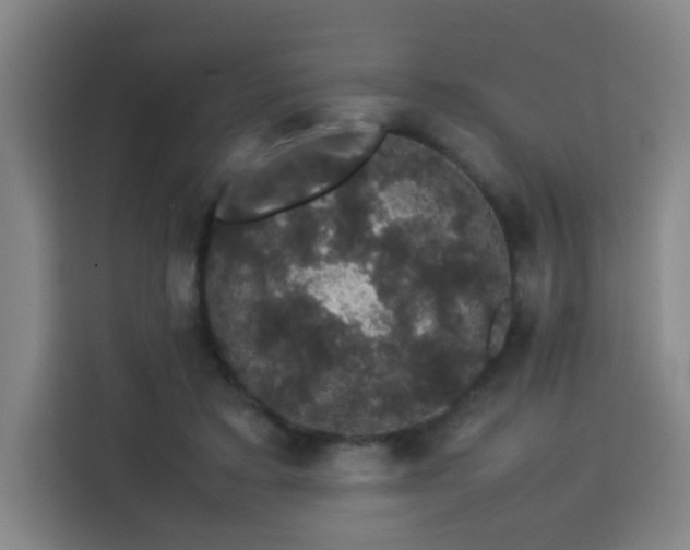 X0000113760403200909301113