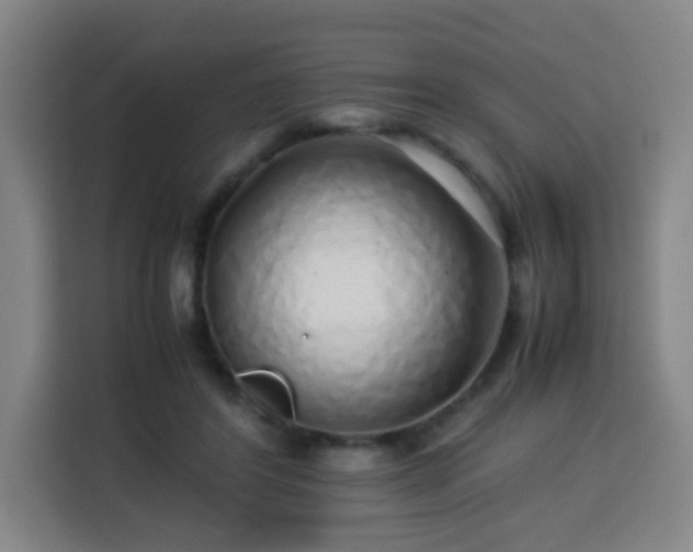 X0000113760404200909301113