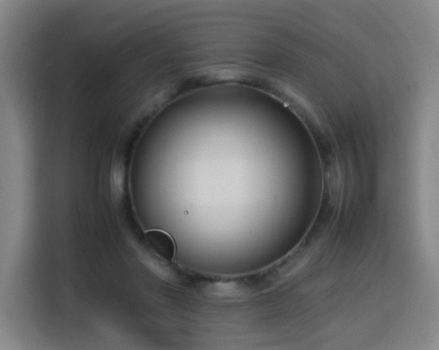 X0000113760406200909301113