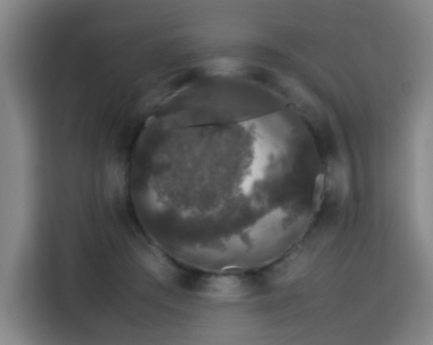 X0000113760409200909301113