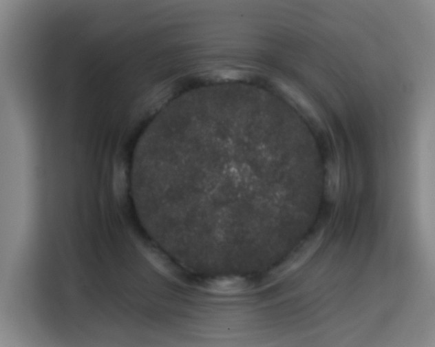 X0000113760410200909301113