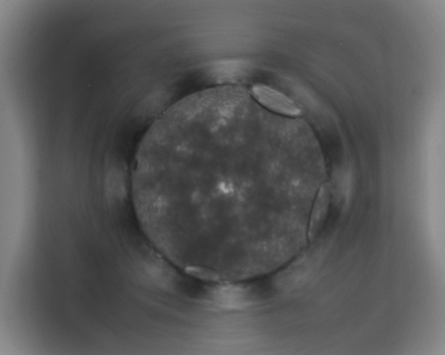 X0000113760413200909301113