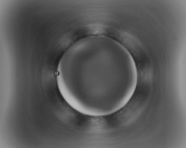 X0000113760415200909301113