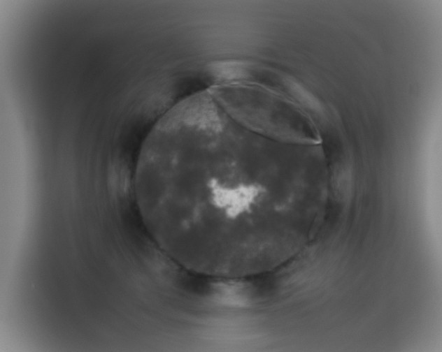 X0000113760417200909301113