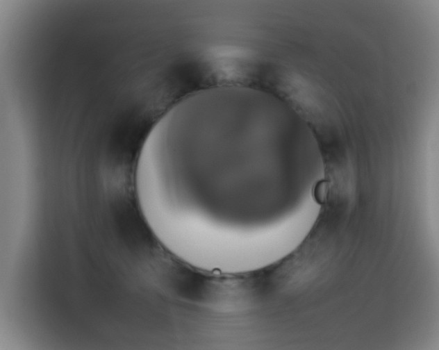 X0000113760419200909301113