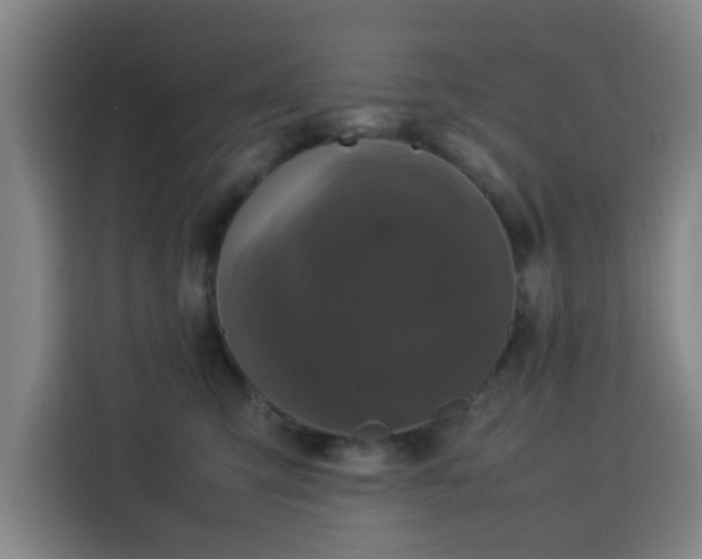 X0000113760423200909301113