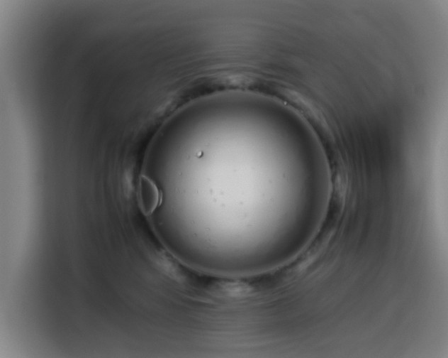 X0000113760424200909301113
