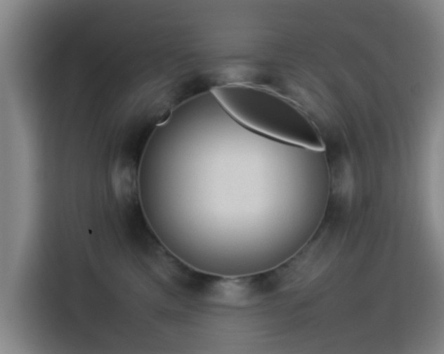 X0000113760425200909301113