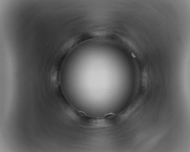 X0000113760428200909301113