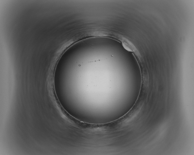 X0000113760433200909301112