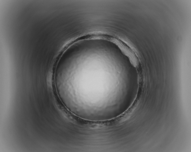 X0000113760434200909301112