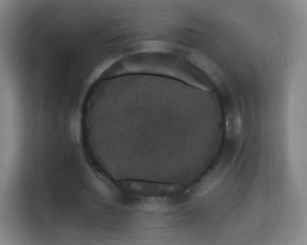 X0000113760436200909301112