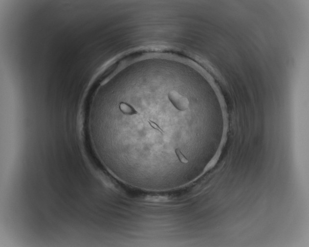 X0000113760440200909301112