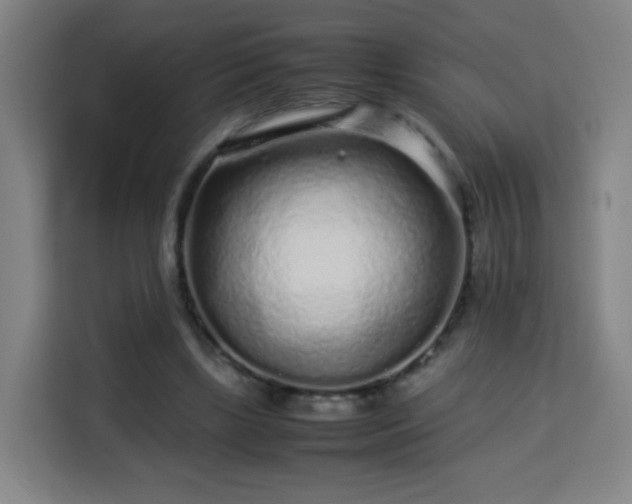X0000113760443200909301112