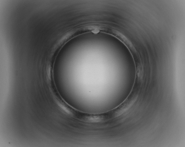 X0000113760445200909301112