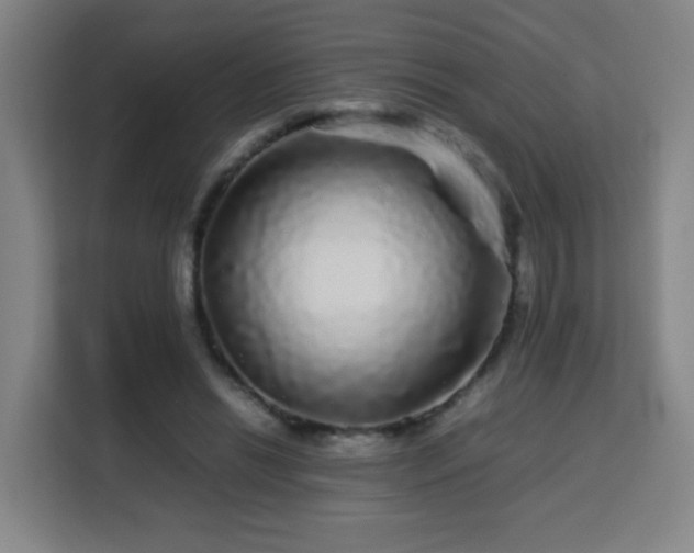 X0000113760446200909301112