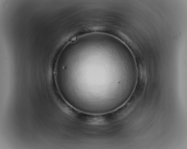 X0000113760447200909301112