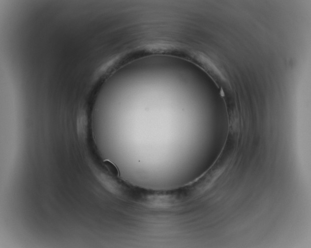 X0000113760448200909301113