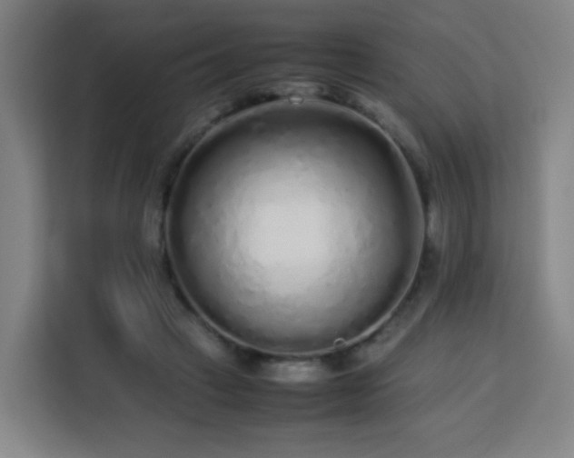 X0000113760449200909301113