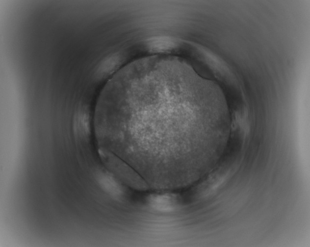 X0000113760452200909301113