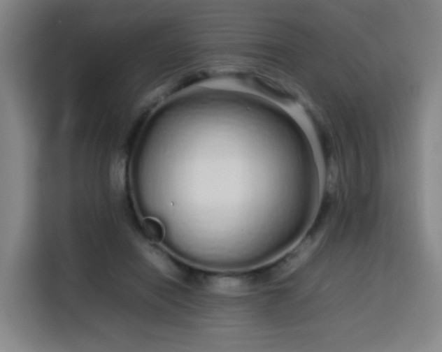 X0000113760454200909301113