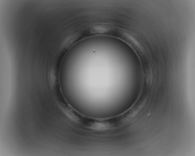 X0000113760455200909301113